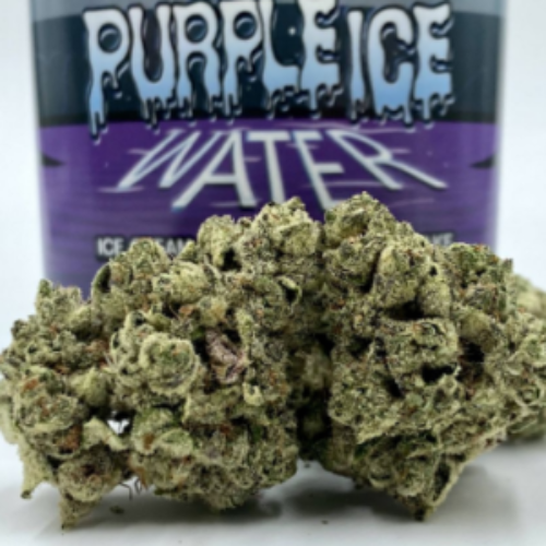 Purple Ice THCA Flower | Premium Indoor Cannabis