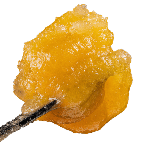 Kache Premium Live Badder | Premium THCA Concentrate