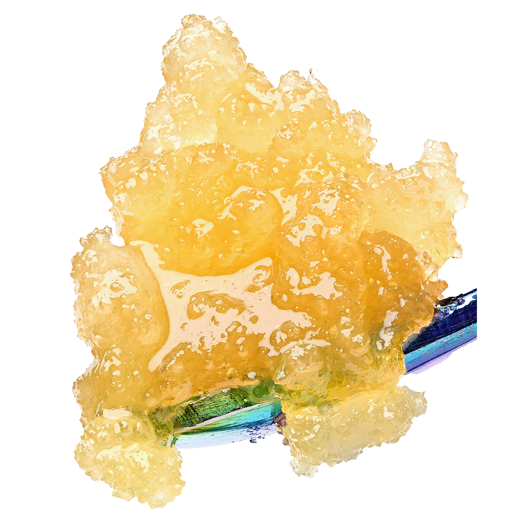 Kache Premium Sugar Wax terpene-rich THCA concentrate with golden sugary texture
