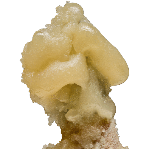 Ronin Live Hash Rosin | Premium THCA Concentrate