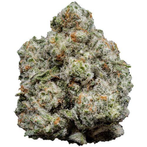 Kache Signature Indoor Flower 28g | Premium THCA Indoor Flower