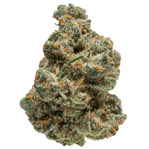 Kache Premium Light Assist Flower | Premium THCA Flower