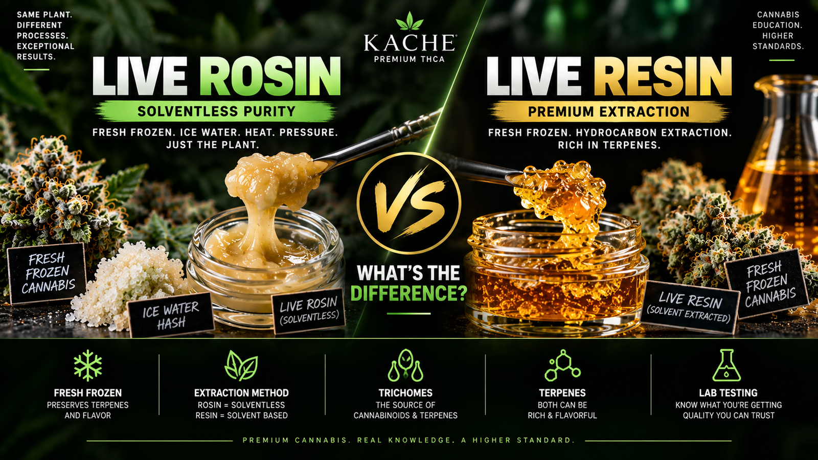 Live Rosin vs Live Resin: What’s the Difference?