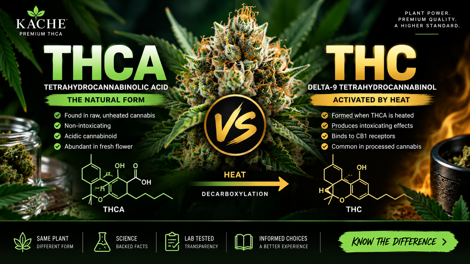 THCA vs THC: What’s the Difference?