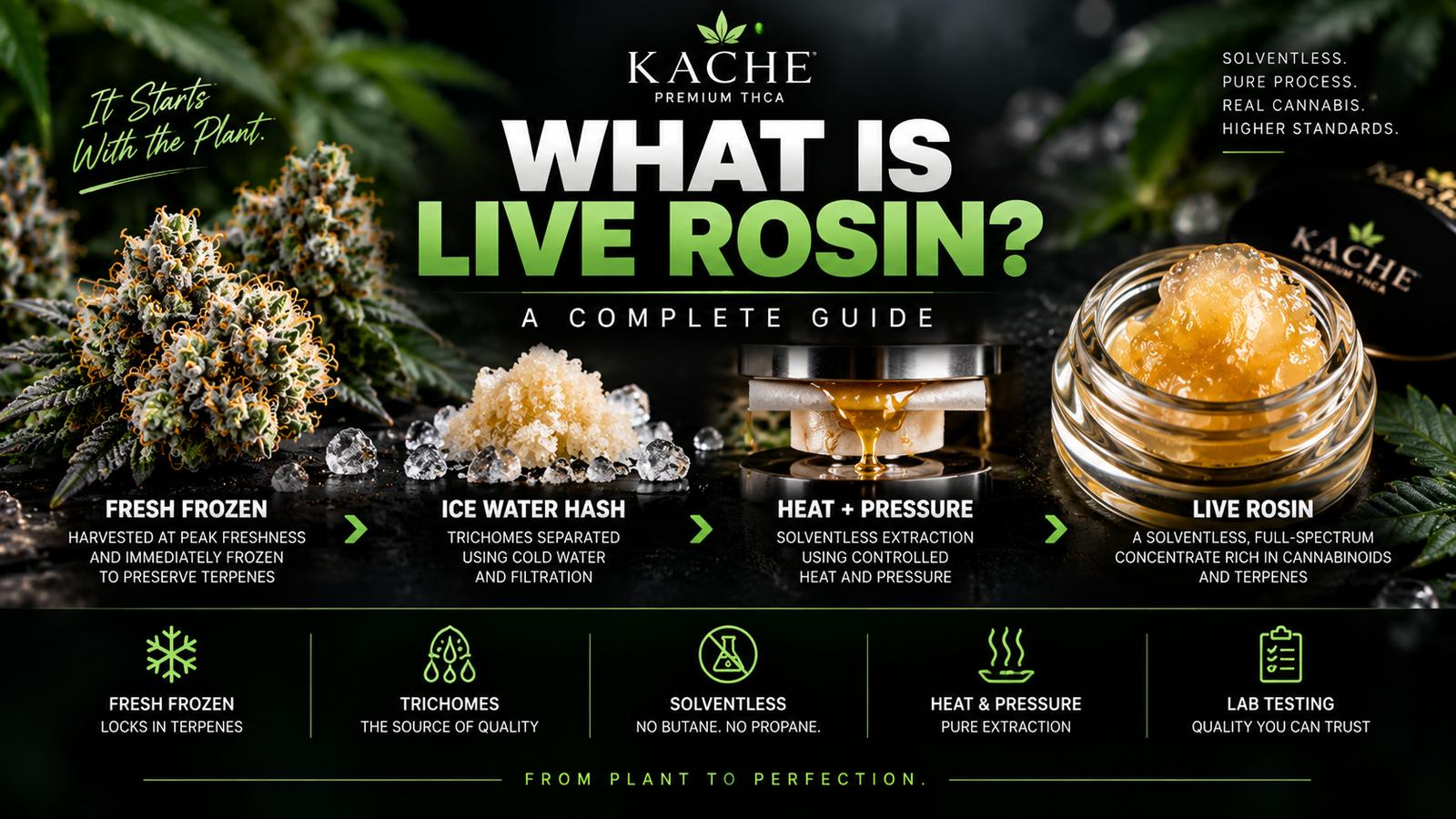 What Is Live Rosin? A Complete Guide to Solventless Cannabis Concentrates